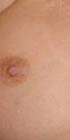 TAMPA BUKKAKE ERECT NIPPLES